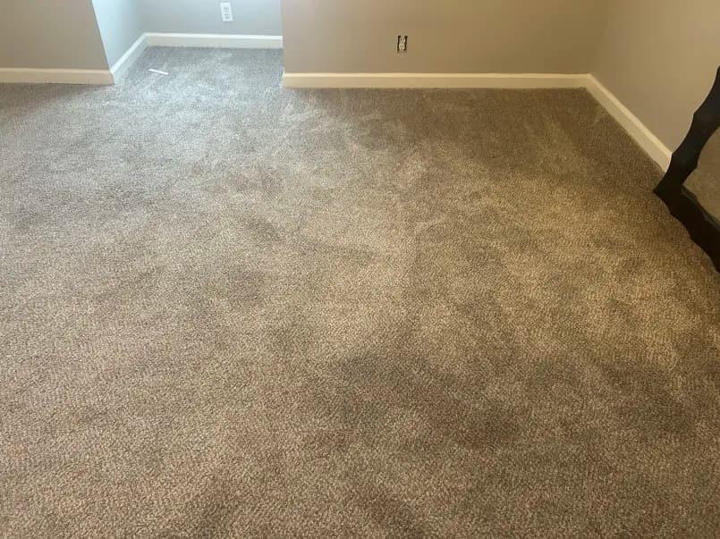 Carpet cleaning in Arrington, TN