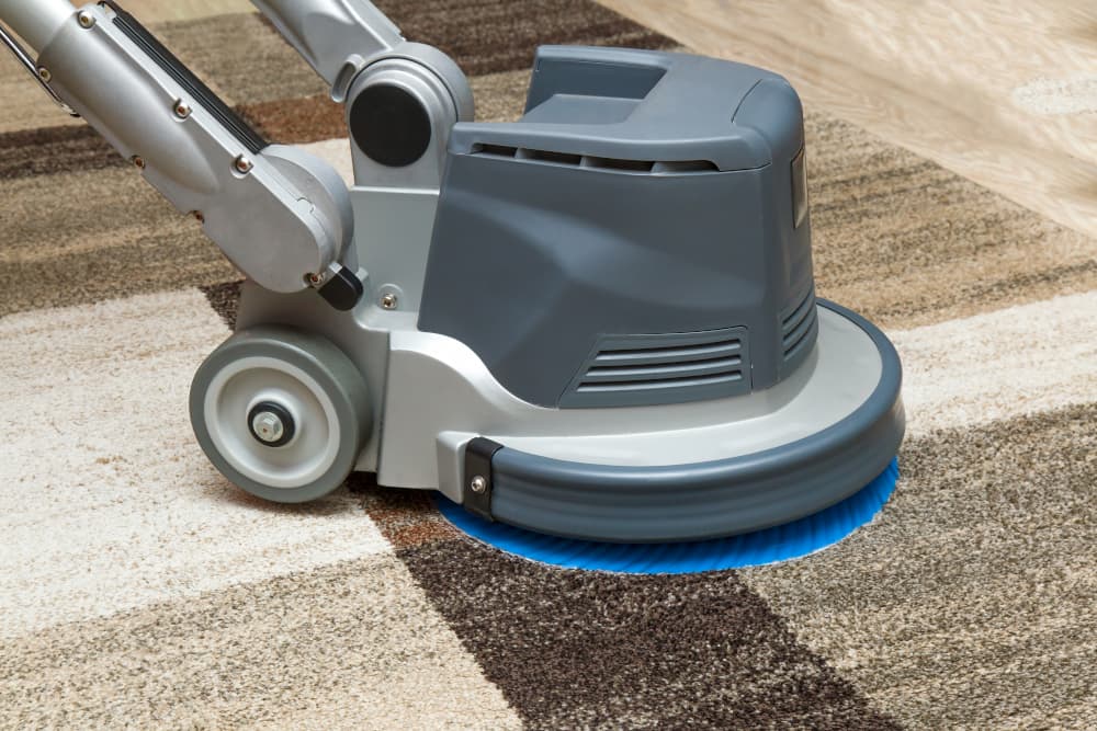 Carpet cleaning in College Grove, TN
