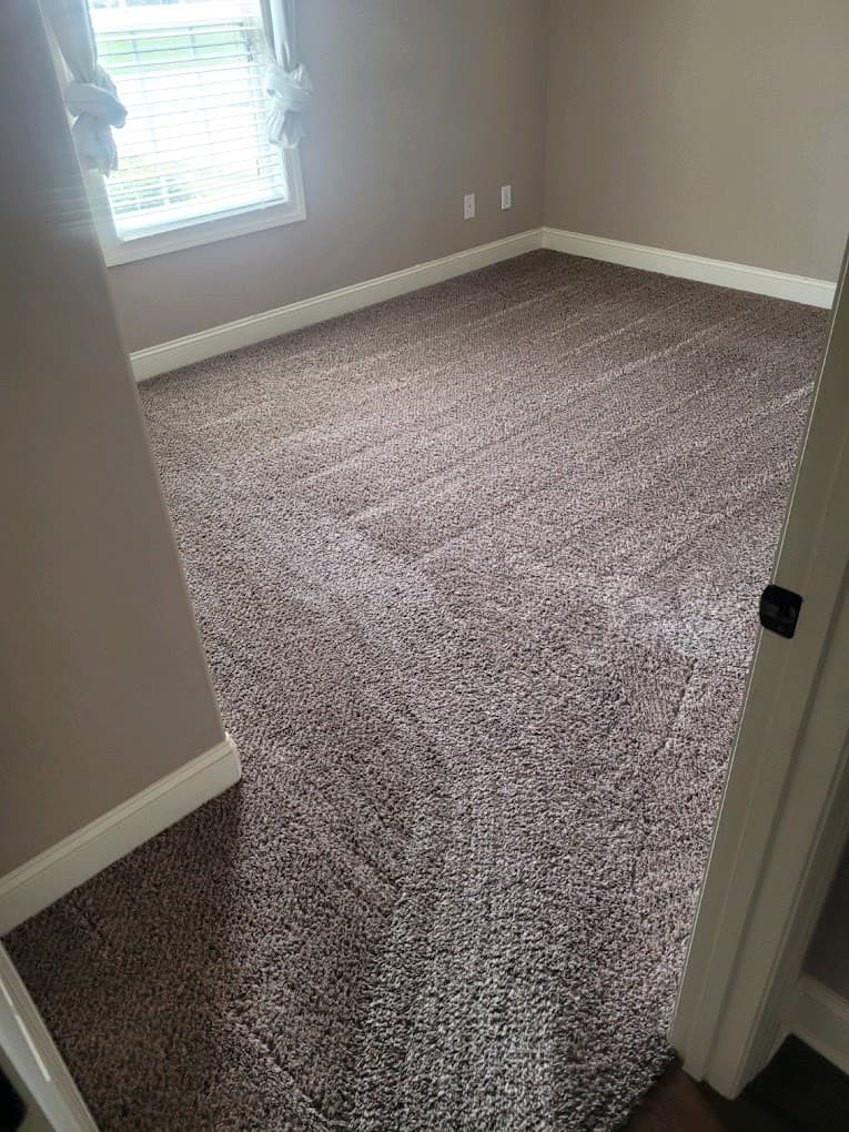 Carpet cleaning in Thompson's Station, TN